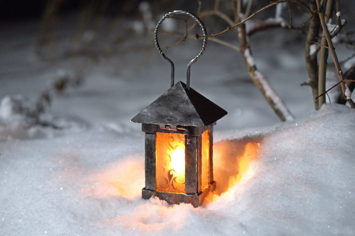 Фото из открытого источника