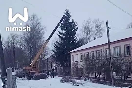    Пенсионерка из Нижегородской области пожаловалась на кражу чиновниками 60-летней ели