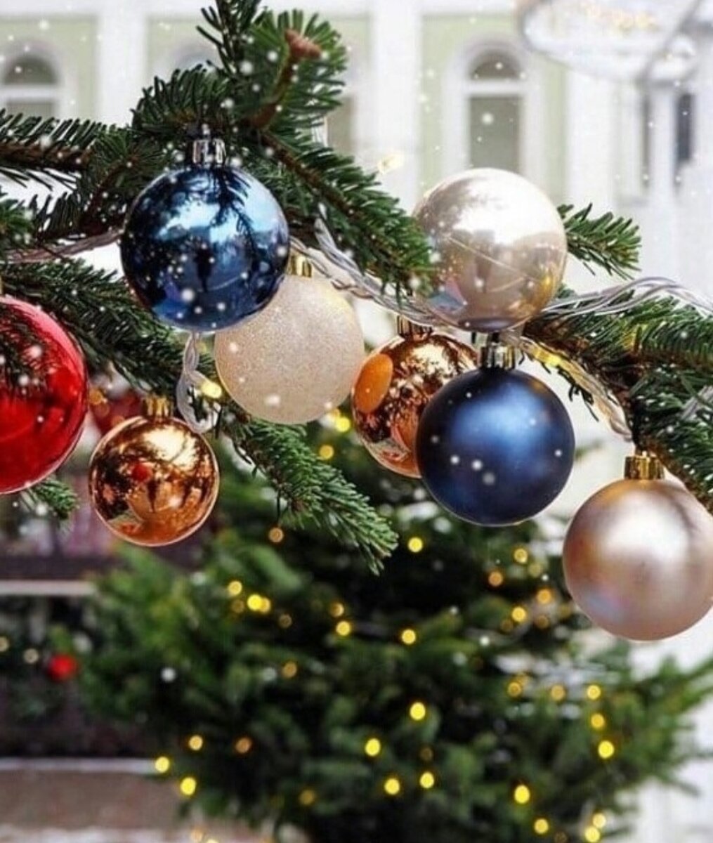 Фото из свободного доступа