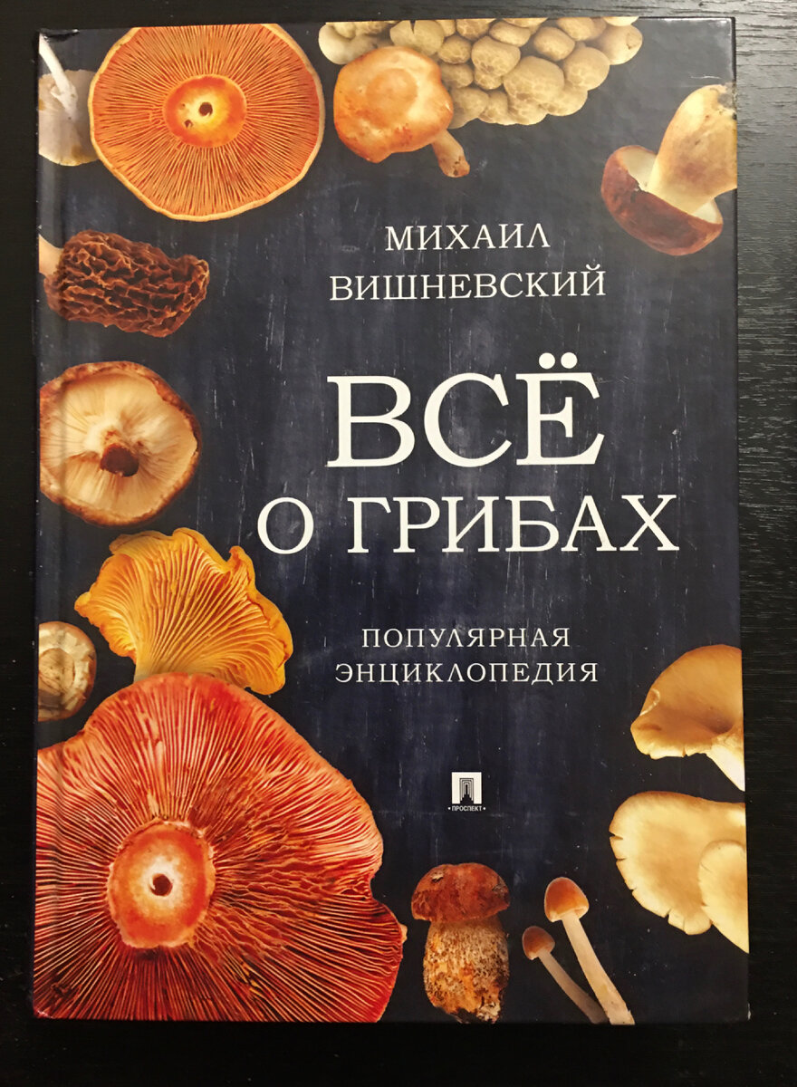 Крайние тактики сбора грибов: кроты, худые коровы, лоси. А Вы кто? |  Прогнозы Грибов от Федотова | Дзен