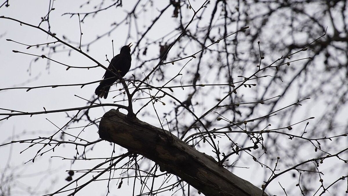    В Краснодаре ожидается небольшой дождь. Фото: телеканал «Краснодар»