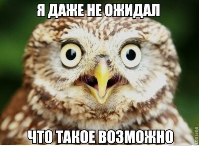 Яндекс-картинки