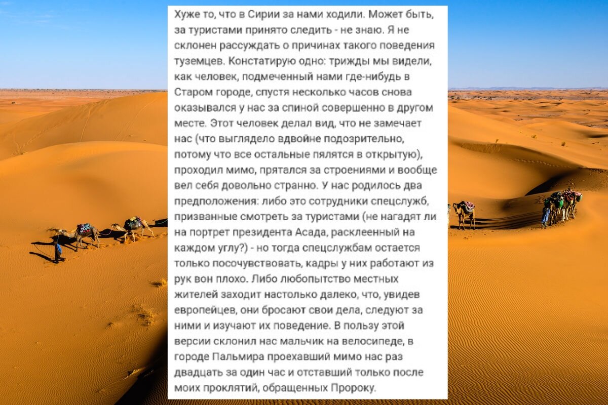 Отзывы туриста о путешествии по Сирии