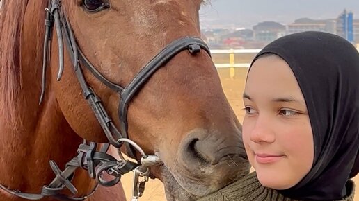 Konkur_05 | Отношения коня и всадника, вещь настолько же индивидуально ...