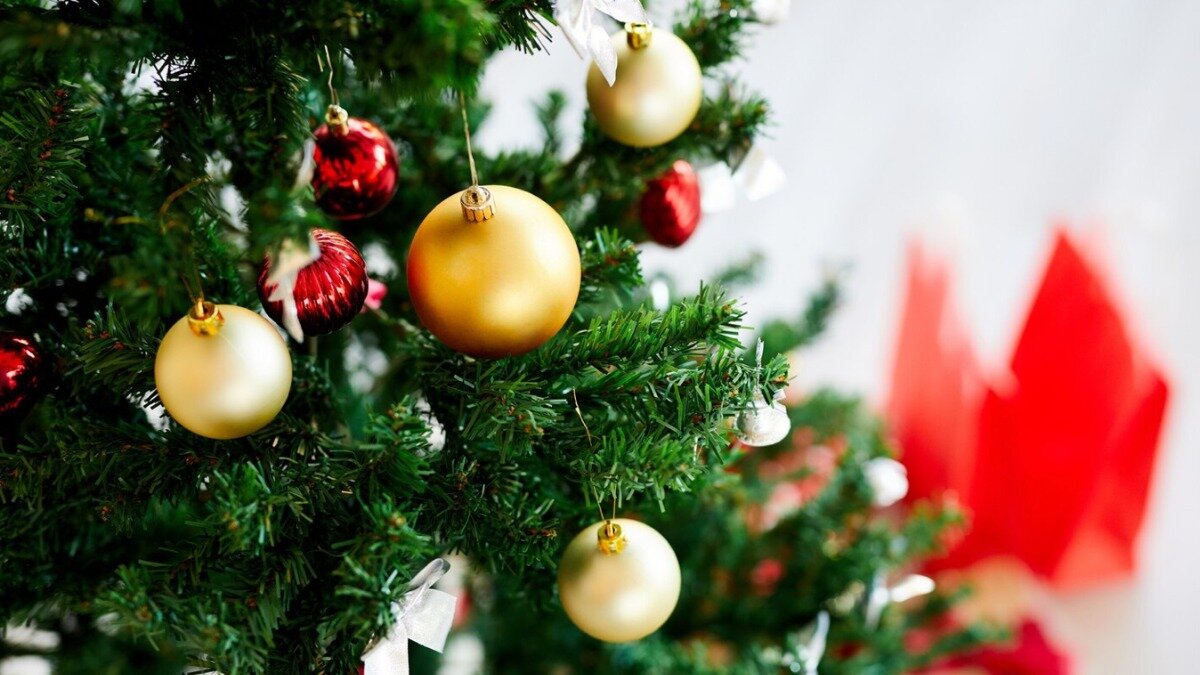 Новогодняя елка. Игрушки, елка, новый год, праздники. Christmas Tree close up Toys. Новогодняя елка мошенники. Понравится елка