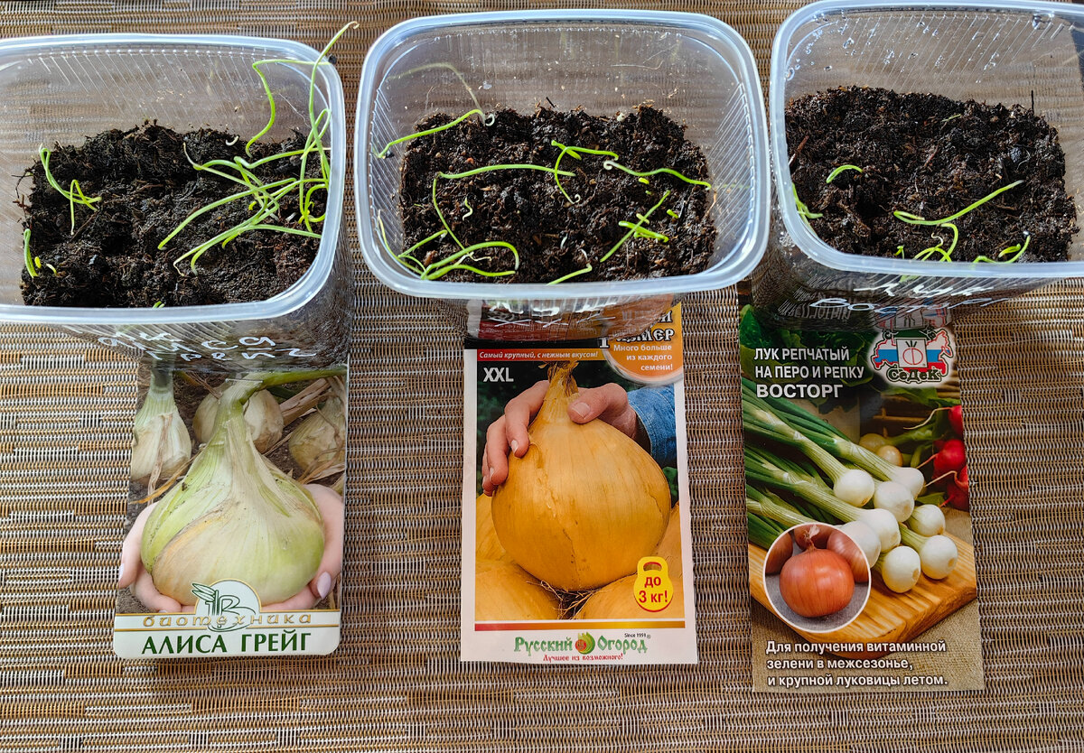 фото от 28 марта 2023г