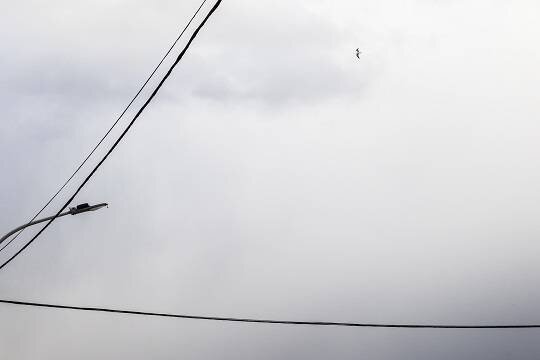    Алтайский поселок живет с постоянной угрозой пожара из-за искрящих проводов над домами