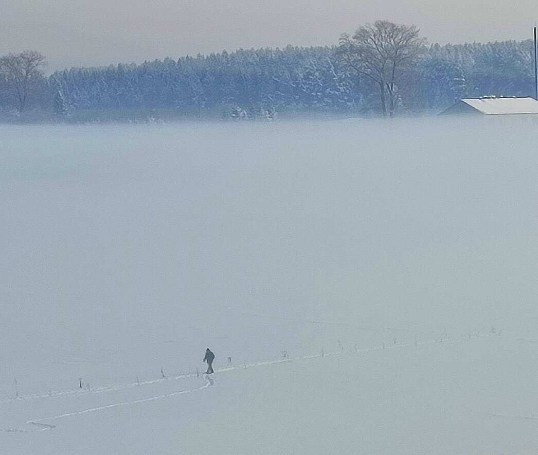 Метель. Тропинка по реке. Фото Татьяны ОБОРИНОЙ.