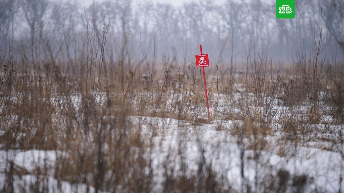    Фото: Associated Press © 2023, Vadim Ghirda