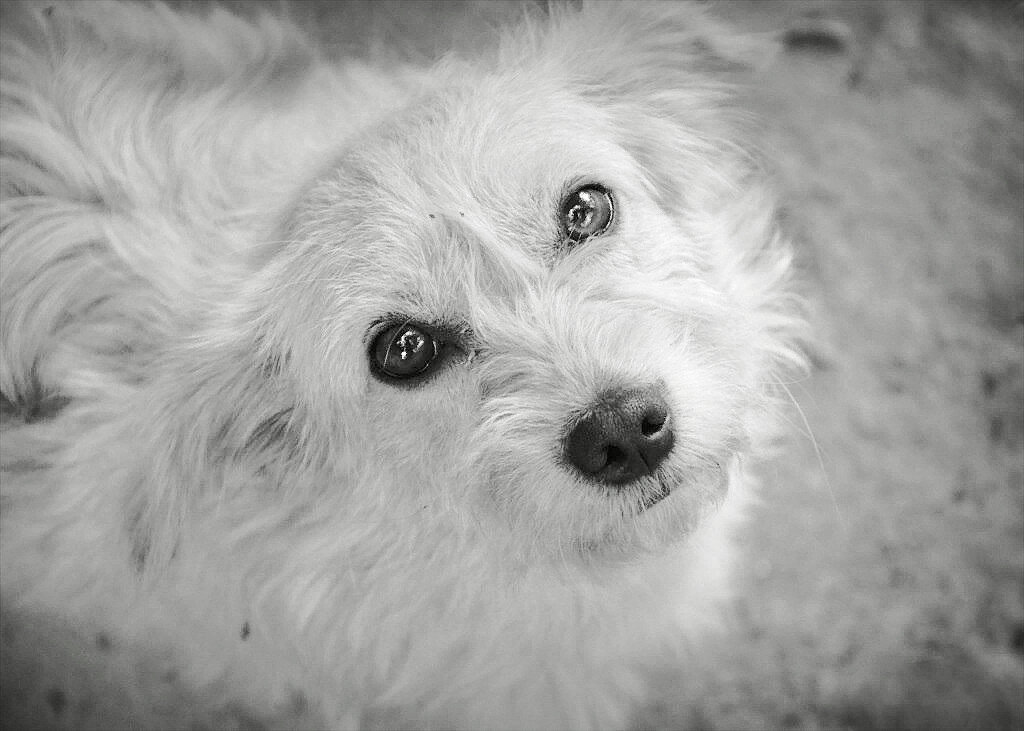 Фото из открытого источника Яндекс 