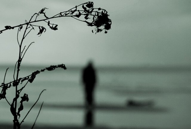 Фото из интернета. Свободный доступ.