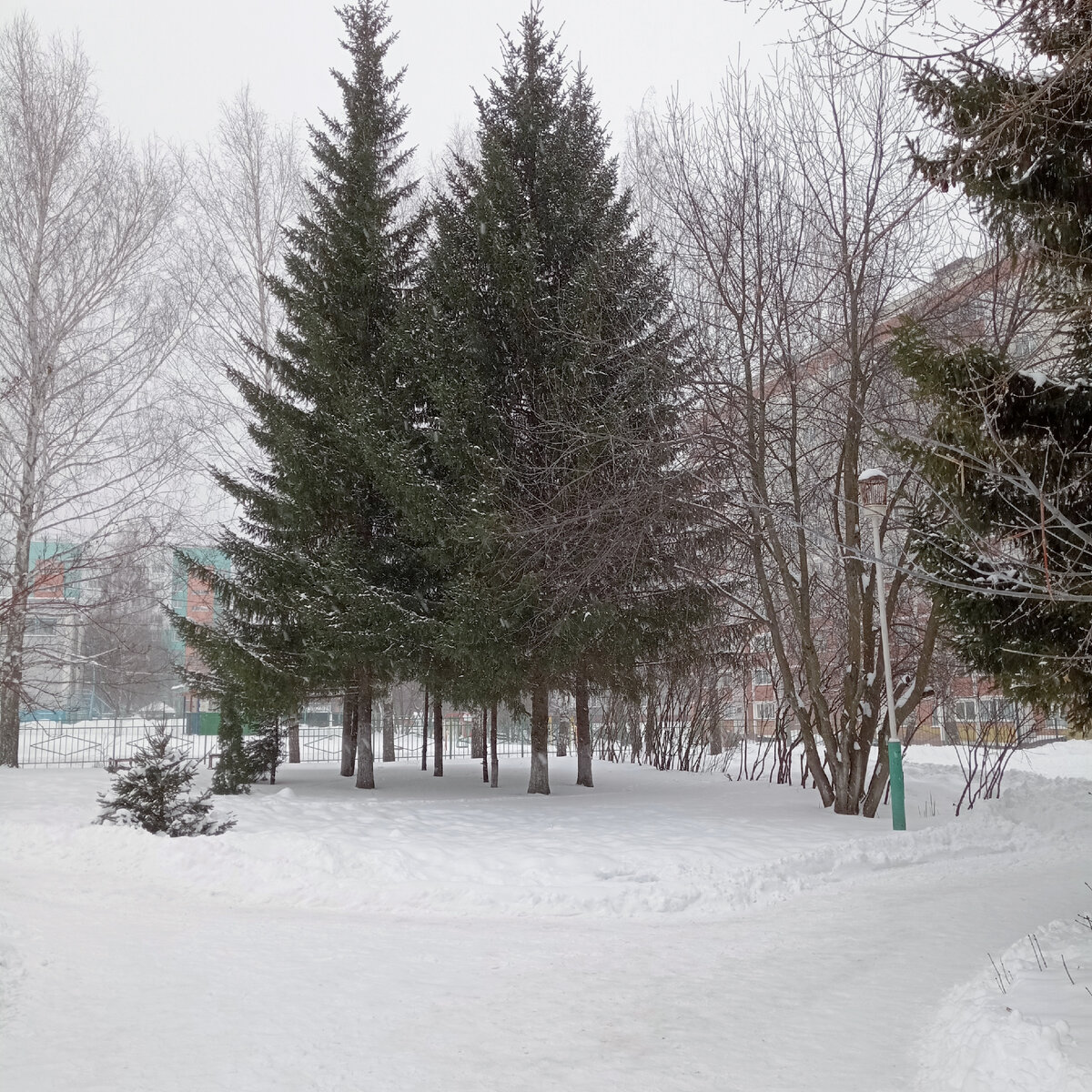 Зима в городе