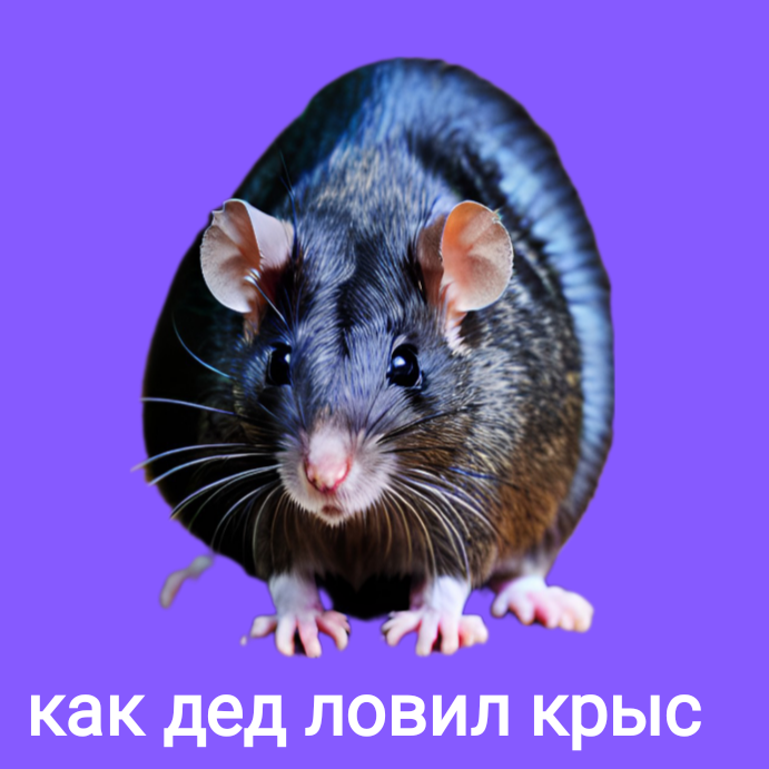 Крыса