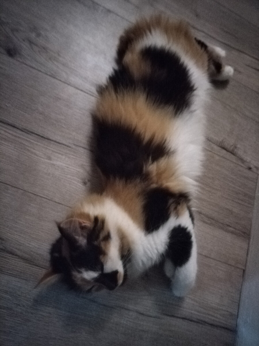 Умоталась 😴