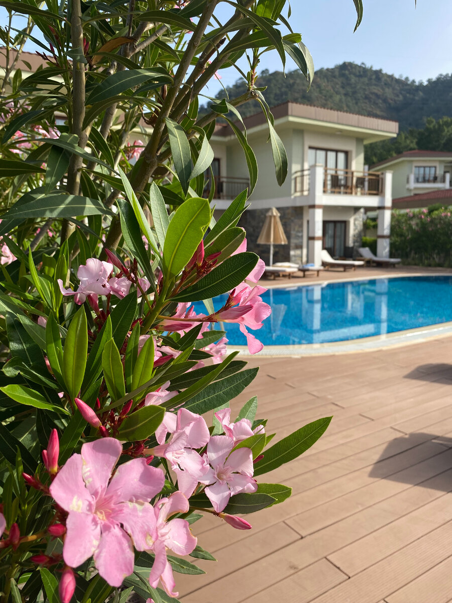 Великолепный отель "Fortezza Beach Resort 5*"