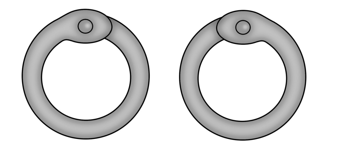 По Вейнховен, 2021b