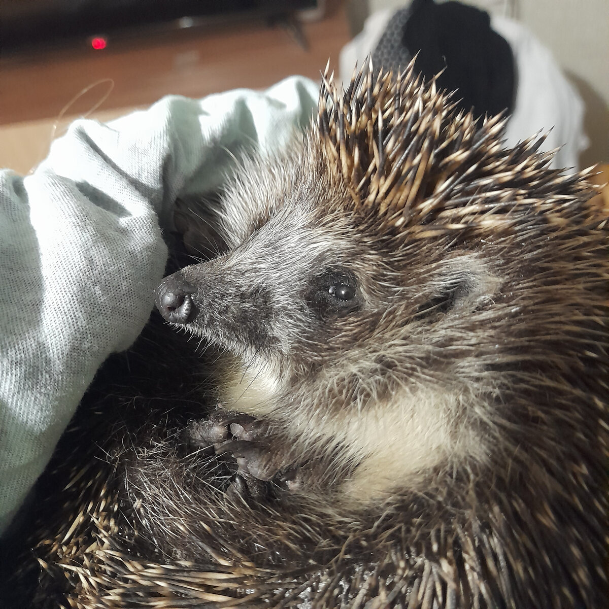 Первый день с нами.