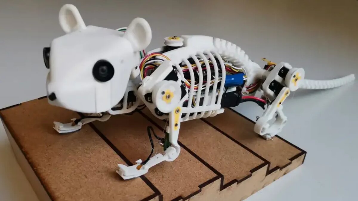 Мышь на радиоуправлении управление. Компьютерная мышь из металла. Робот мышь. Робот мышь. Роботизированная мышь.