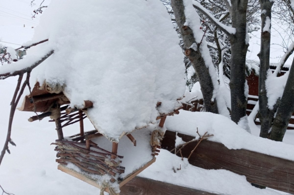    В Тверской области самые глубокие сугробы находятся в Торопце и в Белом