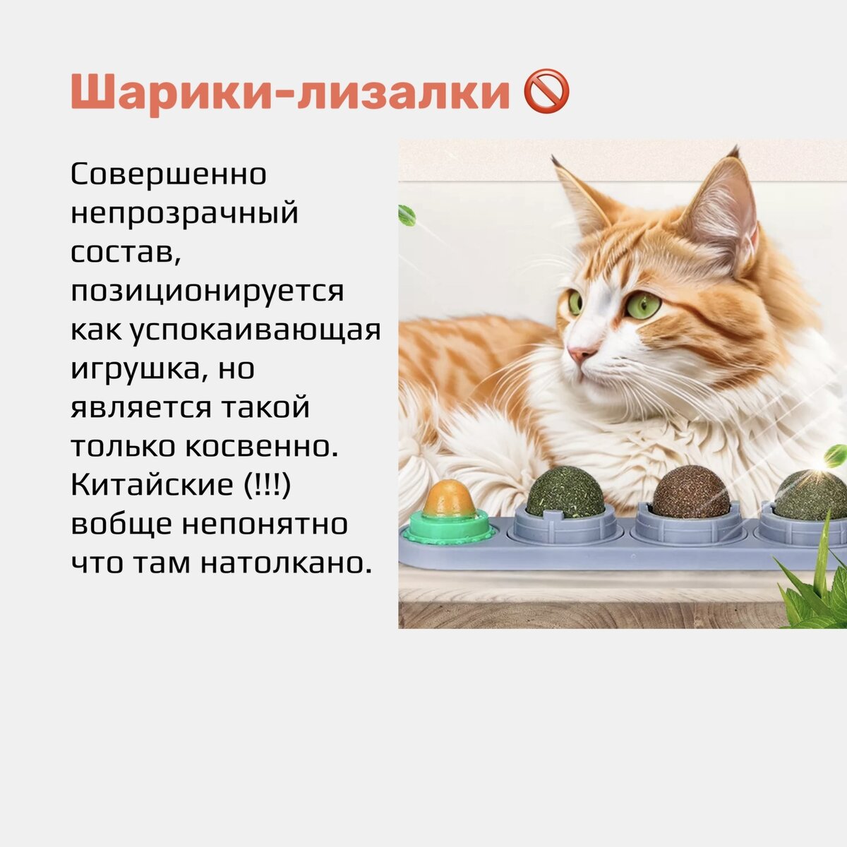 Анти-топ игрушек для кошек. Что никогда не надо покупать 🚫 | Cat talk  зоопсихолог | Дзен