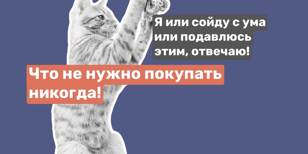 Анти-топ игрушек для кошек. Что никогда не надо покупать 🚫