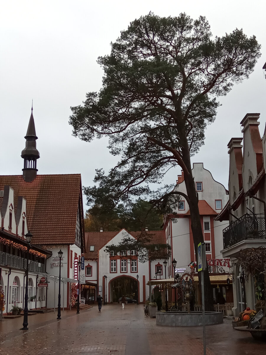 Центр города. Фото автора.