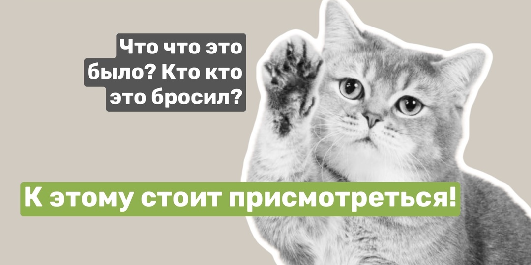 Классные игрушки для кошек ✅