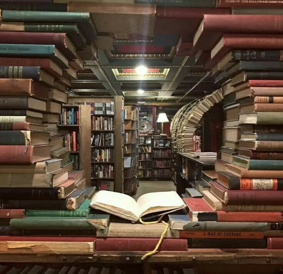Library книги. Книжная библиотека. Книга библиотека. Библиотека фон. Библиотечные книжки.