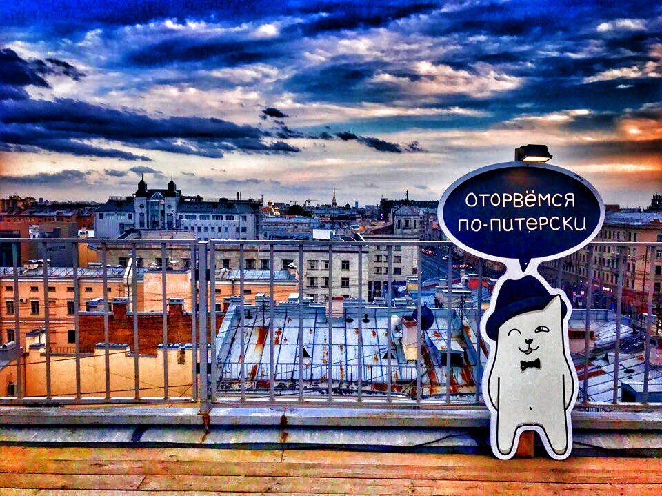 Фото взято из открытого источника