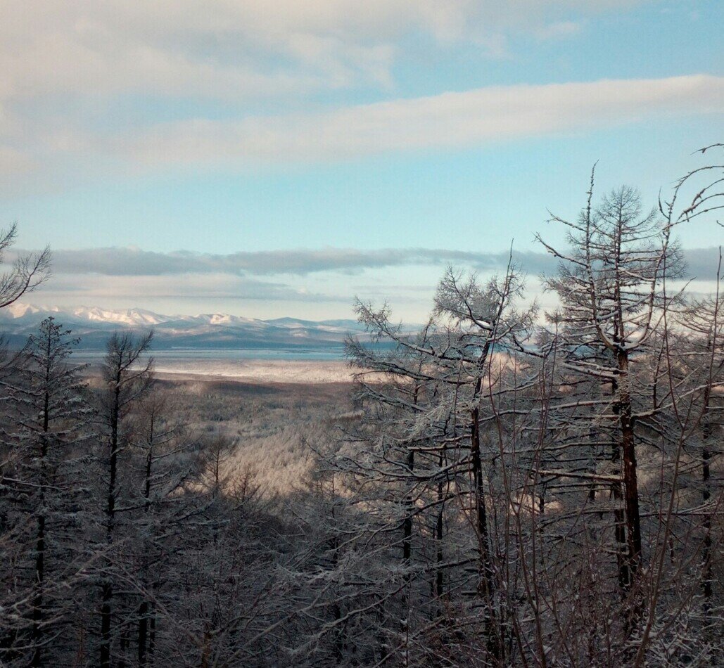Где-то там, (и даже не далеко по нашим - то меркам))), за синими горами, водятся маркшейдеры...  Роют золото. По 300 кг в год. Сильные мужчины с настоящей мужской  профессией! (хорошо оплачиваемой, к слову)))         А я?... Что ж я дура - то такая... ((( 