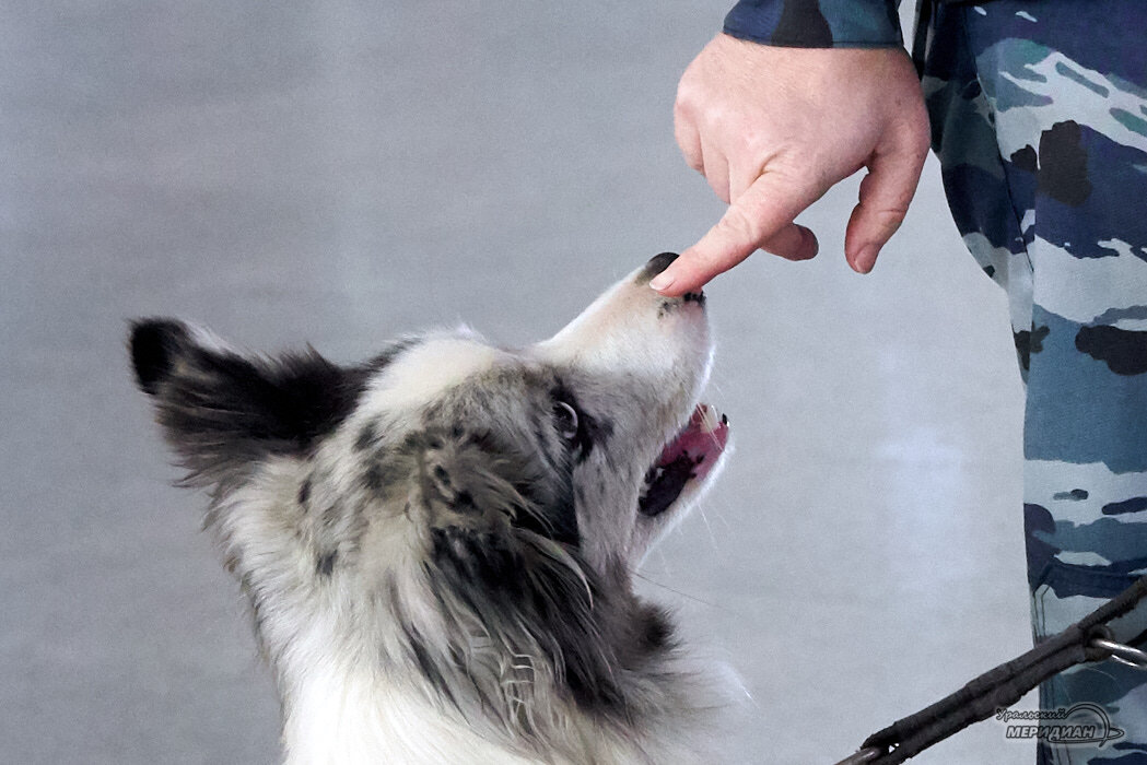    Фото: Лидия Аникина © ИА «Уральский меридиан» Вера Яковлева