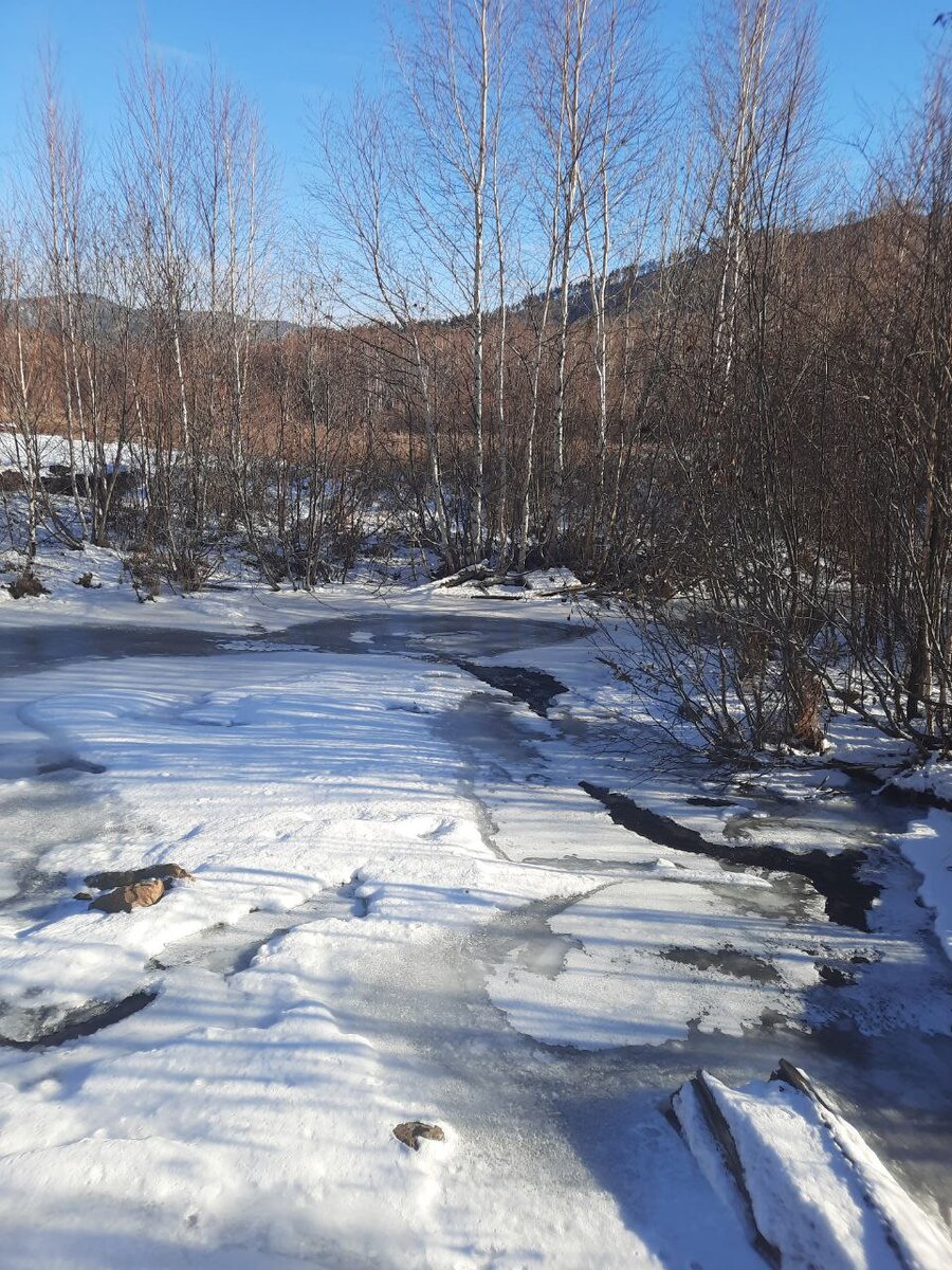 Фото автора. 