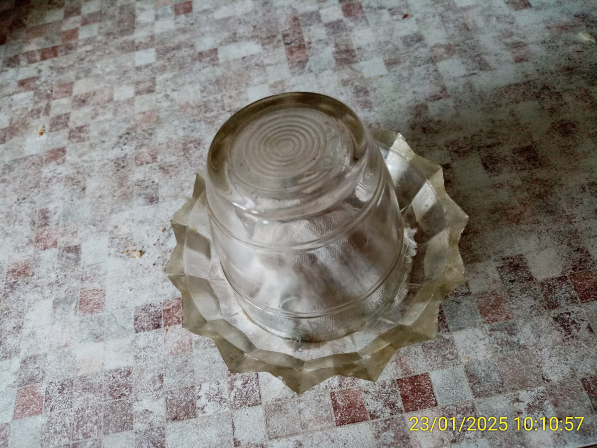 В такой баночке замачиваю и иногда проращиваю семена