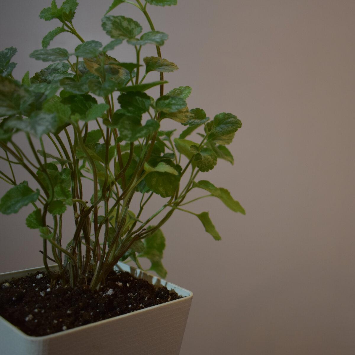 100% уникальные фото Way Life. 