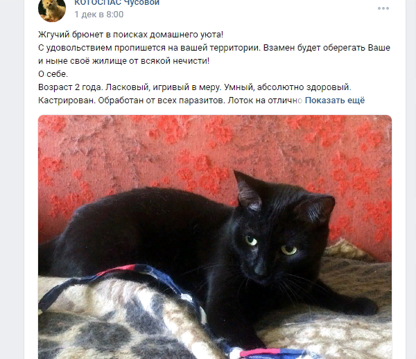 В какой-то момент это объявление увидели именно те глаза, которые мы давно искали