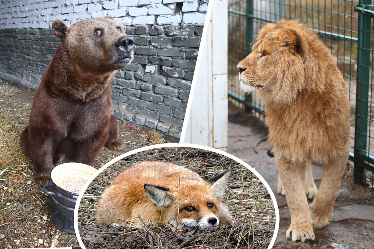 © ФОТО: ИД «ВОЛГОГРАДСКАЯ ПРАВДА» / ВИКТОРИЯ ЗУБКОВА, КИРИЛЛ БРАГА.