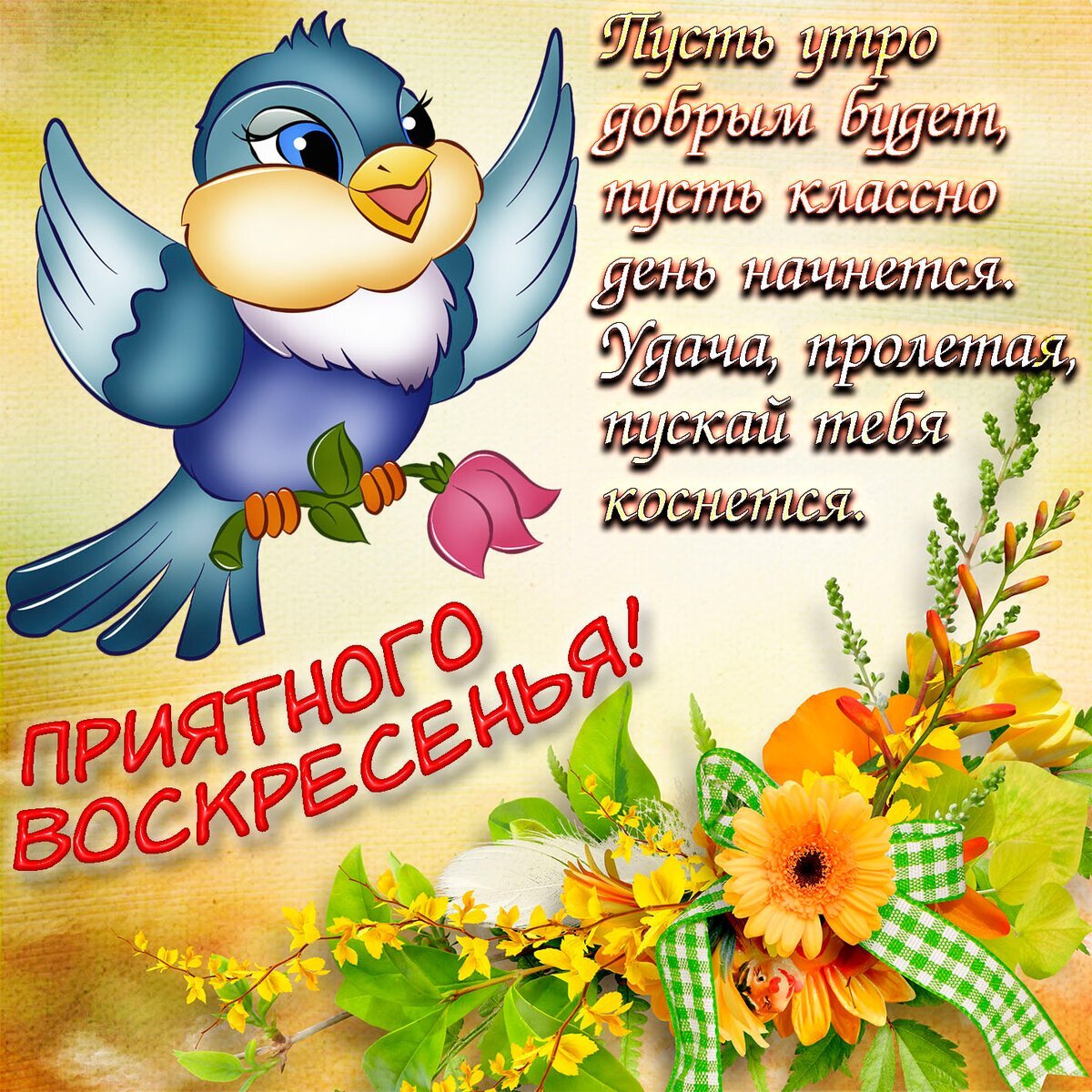 фото из интернета