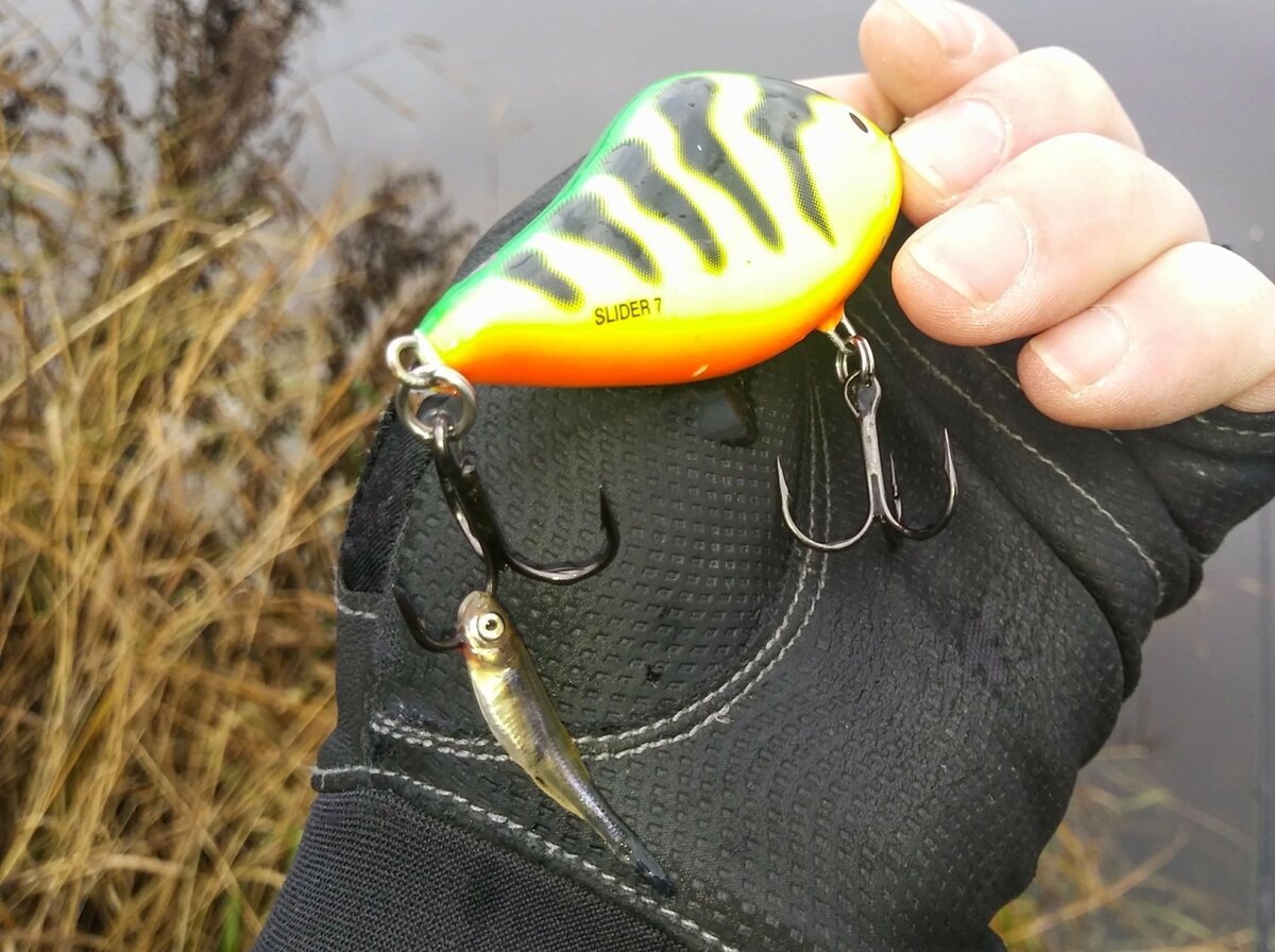 Почти по честному ))