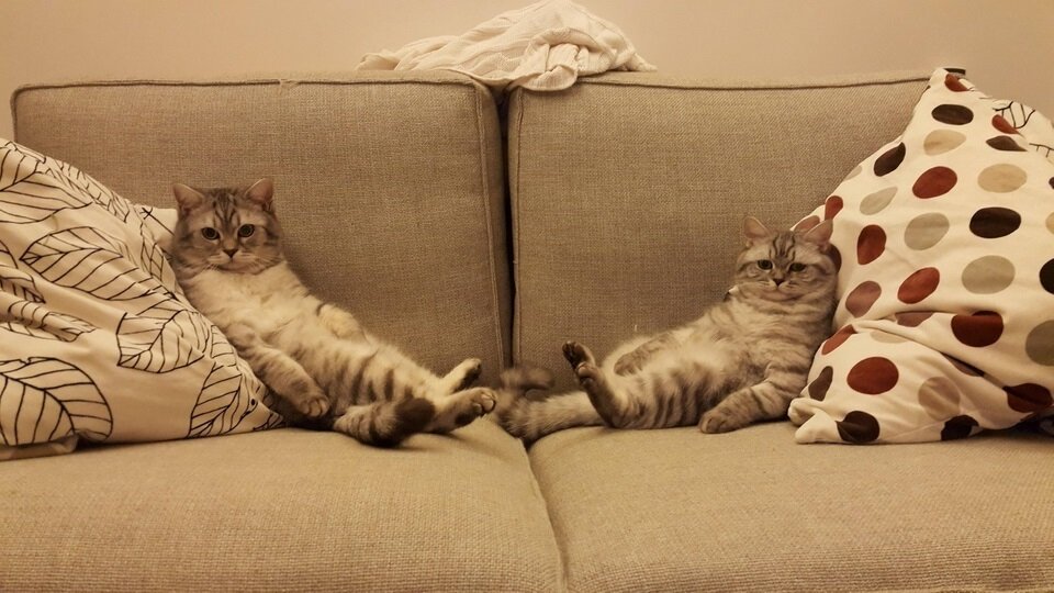 - Ну, вот поели, можно и поспать