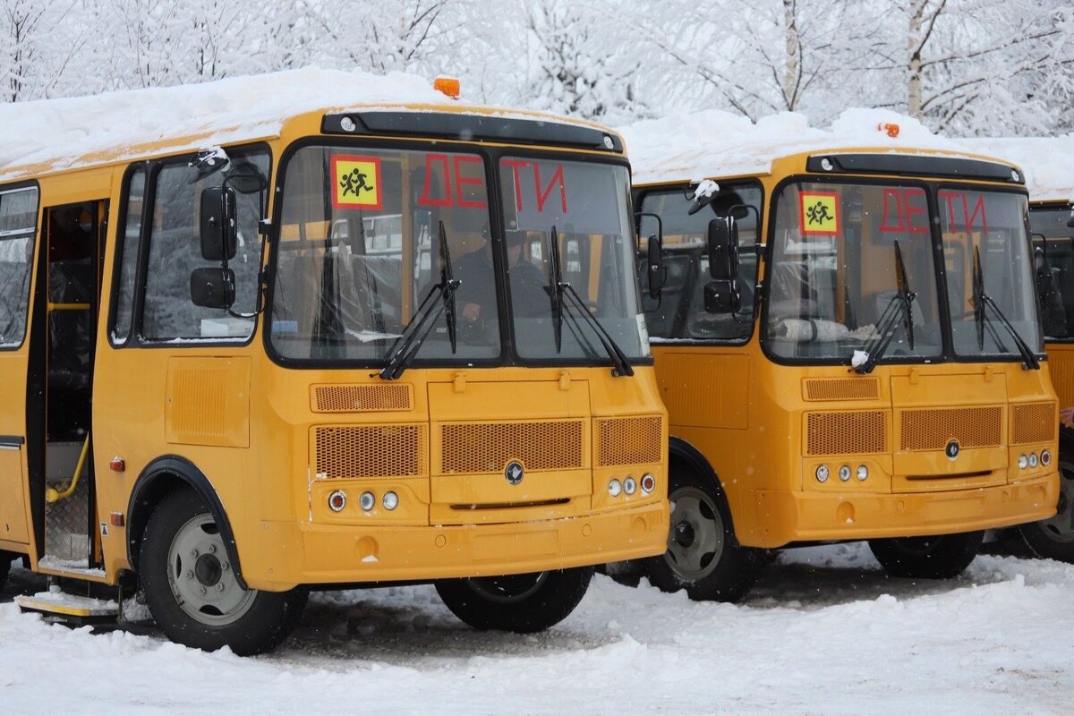 Восемь новых школьных автобусов получили школы Карелии | Карелия.Ньюс.  Новости Петрозаводска | Дзен