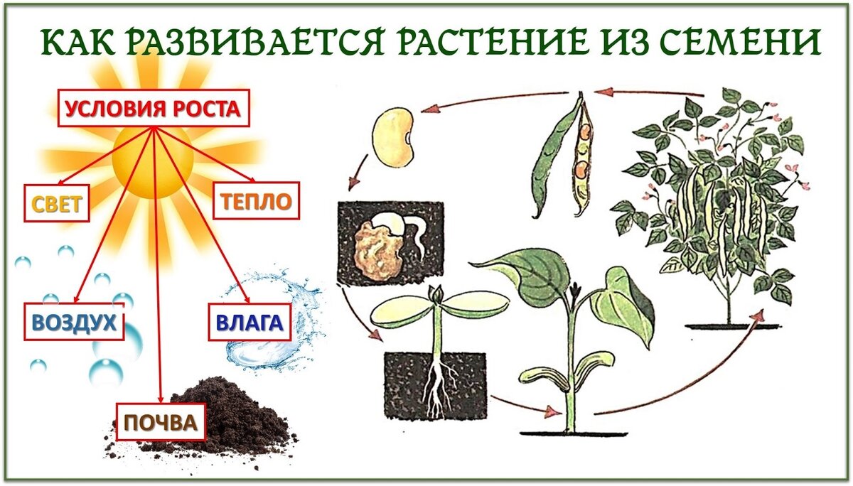 Фото открытых источников