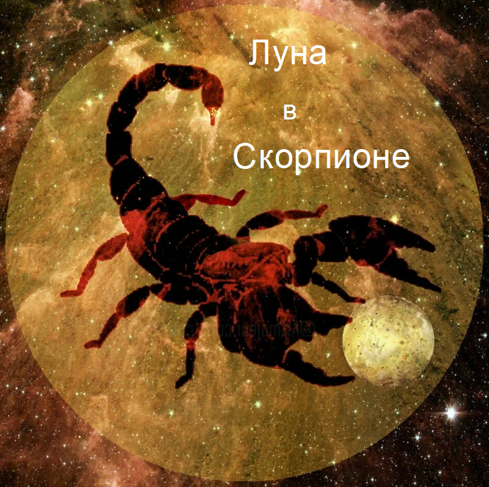 Марс и скорпион. Лунный Скорпион. Луна в Скорпионе. Планета скорпиона. Скорпион картинки красивые.