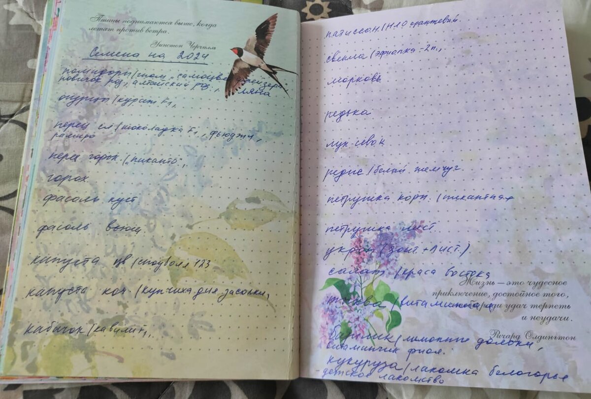 Планы 2024