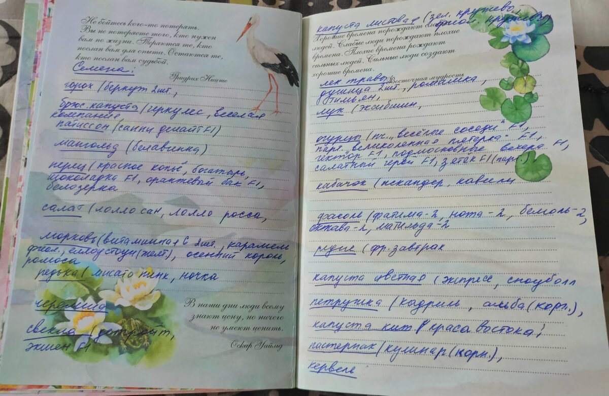 Для сравнения - прошлогодний список семян