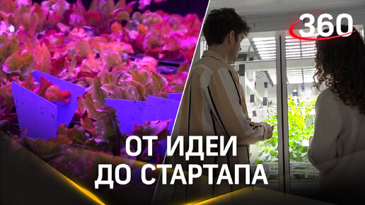 От идеи до стартапа: так сможет каждый! Отечественная разработка помогает сельскому хозяйству выходить на новый уровень