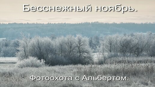 Фотоохота с Альбертом. Бесснежный ноябрь.