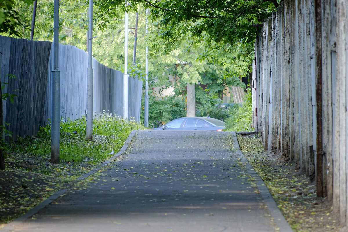 001. Тайными, уютными тропами пробираюсь к пустырю.