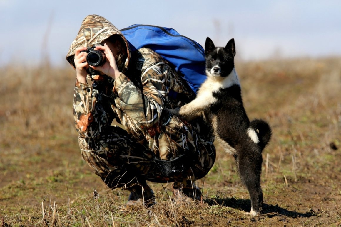 Самое лучшее "ружье" для охоты.