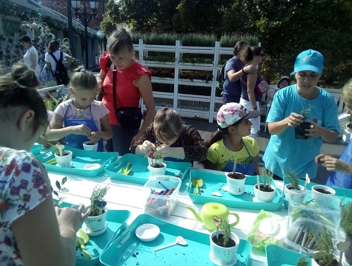 мастер класс по рассаживанию цветов.