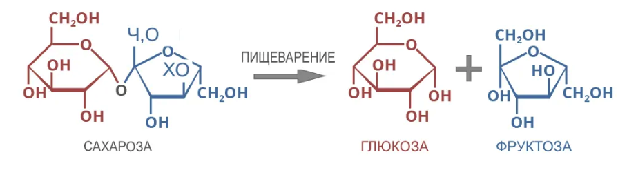 Как различить глюкозу и фруктозу. Формула фруктозы объяснения. Фруктоза полимер. Фруктоза кетоспирт ее формулы.